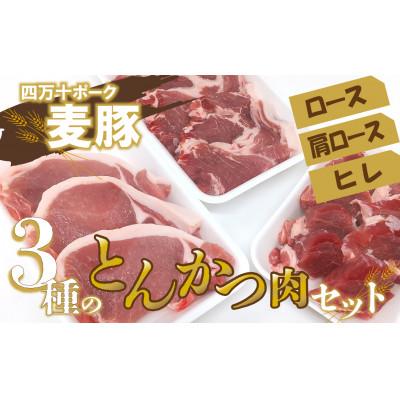 ふるさと納税 四万十町 平野協同畜産の「麦豚」 3種のとんかつ肉セット ( ロース 肩ロース ヒレ )
