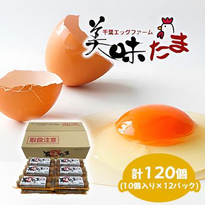 ふるさと納税 香取市 美味たま 120個 (10個入り×12パック)