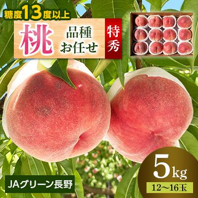ふるさと納税 長野市 [先行受付]JAグリーン長野 桃 5kg 特秀(輝々) 12〜16玉 糖度保障品 品種お任せ