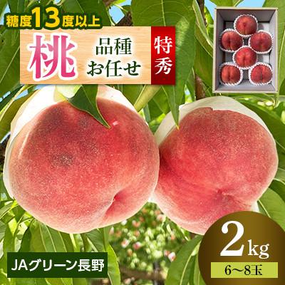 ふるさと納税 長野市 [先行受付]JAグリーン長野 桃 2kg 特秀(輝々) 6〜8玉 糖度保障品 品種お任せ