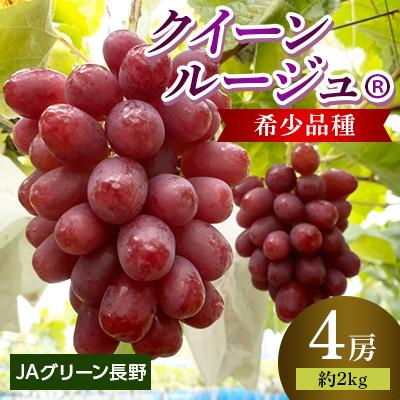 ふるさと納税 長野市 JAグリーン長野 クイーンルージュ(R) 4房(約2kg) 2026年9月中旬より発送