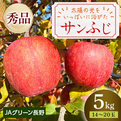 ふるさと納税 長野市 JAグリーン長野 サンふじ 秀品 5kg(14〜20玉)