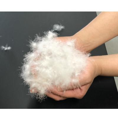 ふるさと納税 泉大津市 ふわふわダウン50%入　洗える羽毛肌掛けふとん　シングルサイズ　ブルー色　FNU-010 |  | 03