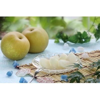 ふるさと納税 飯田市 2027年発送【南信州産】幸水　秀品　約5kg　(8〜16玉)　【8月中旬より順次発送】 |  | 01