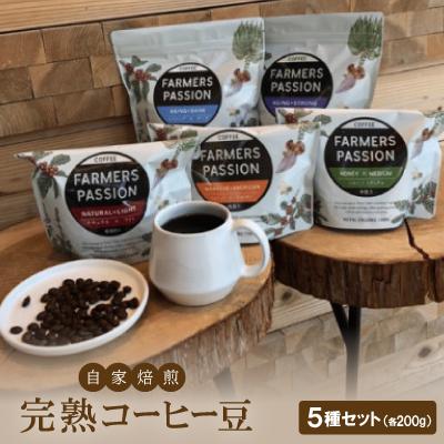 ふるさと納税 豊川市 農園直営ネパール産自家焙煎完熟コーヒー豆5種(200g×5種)セット