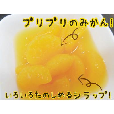 ふるさと納税 美浜町 【2026年3月下旬より発送予定】紀州のみかん缶詰(みかん果汁入りシラップ)435g×12缶セット |  | 01