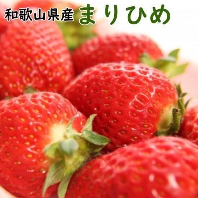 ふるさと納税 古座川町 [3月より順次発送]和歌山県産ブランドいちご「まりひめ」約300g×2パック入り(古座川町)