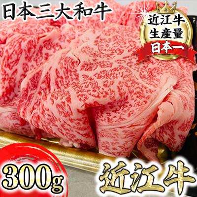 ふるさと納税 近江八幡市 特選近江牛リブ切りおとし300g[冷凍]