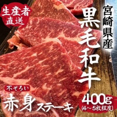 ふるさと納税 小林市 黒毛和牛不揃い赤身ステーキ 4〜5枚程度