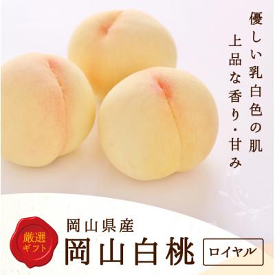 ふるさと納税 高梁市 [2026年発送]岡山県産 白桃 6玉 (1.5kg以上) 等級:ロイヤル 化粧箱入り