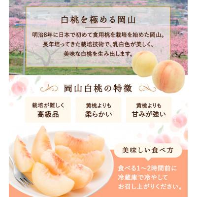 夏のフルーツ応援企画！第１弾】白桃ロイヤル 5～7玉（約1.5kg) | 特典のご紹介 | 岡山県備前市ふるさと納税特設サイト