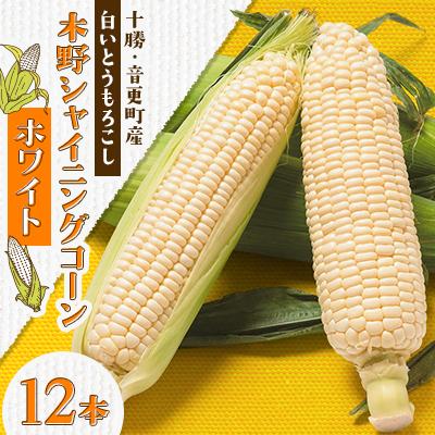 ふるさと納税 音更町 [先行受付]北海道十勝産 白いとうもろこし「木野シャイニングコーン」12本[A15]