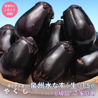 ふるさと納税 貝塚市 水なす工房『やくし』生の「水なす」/大阪特産品 15個 B級品 家庭用 水なす工房から直送 レシピ付