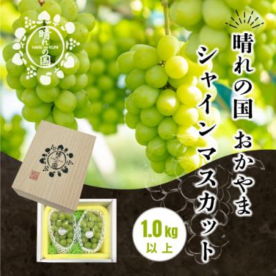 ふるさと納税 岡山市 [先行受付:2026年9月〜順次発送]岡山県産シャインマスカット 1.0kg以上(2〜3房)