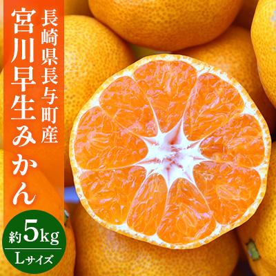ふるさと納税 長与町 長崎県長与町産 宮川早生みかん Lサイズ 約5kg