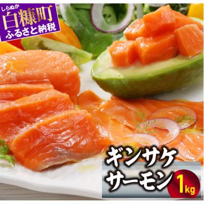 ふるさと納税 白糠町 ギンサケサーモン[1kg]