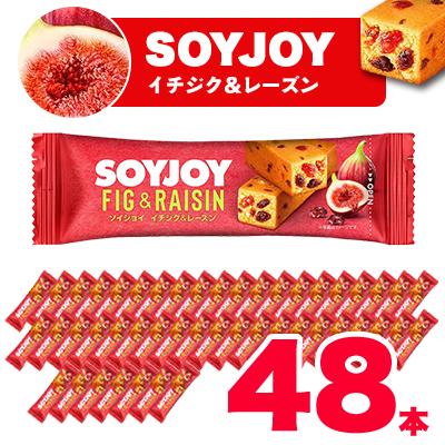 ふるさと納税 板野町 SOYJOY ソイジョイ イチジク&amp;レーズン 48本