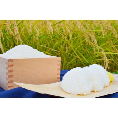 ふるさと納税 白馬村 【令和7年産】『白馬そだち』長野県白馬村産 お米 ゆうだい21 30kg(玄米)の画像