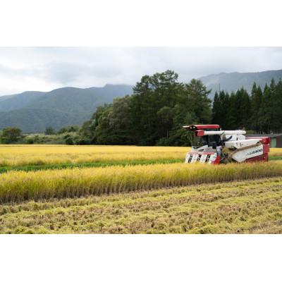 ふるさと納税 白馬村 【令和7年産】『白馬そだち』長野県白馬村産 お米 ゆうだい21 30kg(玄米)の画像