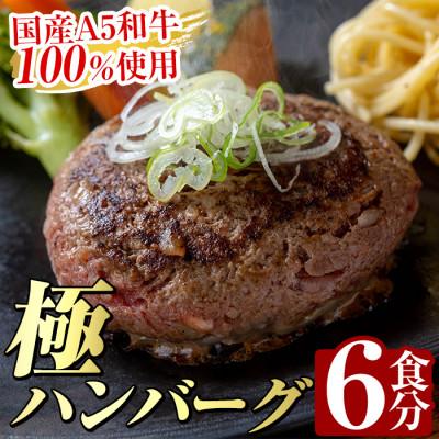 ふるさと納税 姶良市 生食感ハンバーグ!やまさきの焼肉A5ランク極ハンバーグ150g×6袋(合計900g)