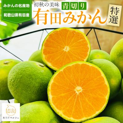 ふるさと納税 湯浅町 [先行受付・2026年9〜10月発送]特撰 青切り 有田みかん 2kg[サイズ混合]