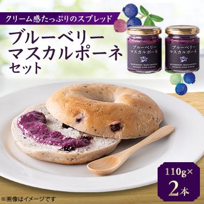 ふるさと納税 白馬村 ブルーベリーマスカルポーネセット 110g×2本