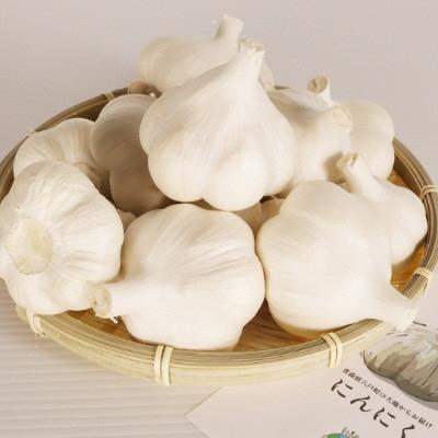 ふるさと納税 六戸町 青森県産 にんにく 中14玉〜20玉(約1kg)J-05