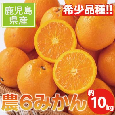 ふるさと納税 出水市 農6みかん 約10キロ