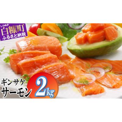 ふるさと納税 白糠町 ギンサケサーモン【2kg】 | 