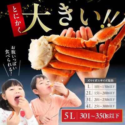 ふるさと納税 泉佐野市 【5Lサイズ】ずわい蟹 2kg ボイル済み 4肩前後 昆布仕立て |  | 03