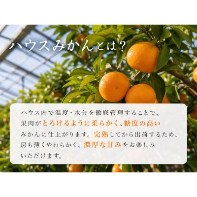 ふるさと納税 日高川町 赤秀品 紀州和歌山ハウスみかん約2.5kg : Yahoo
