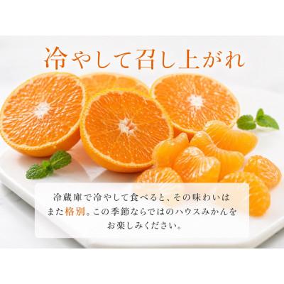 ふるさと納税 日高川町 赤秀品 紀州和歌山ハウスみかん約2.5kg : Yahoo