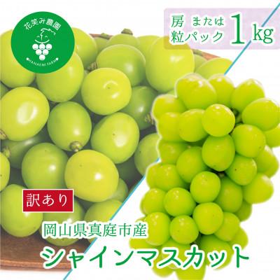 ふるさと納税 真庭市 [2026年先行受付]岡山 花笑み農園の 『訳ありシャインマスカット』1kg WS-1