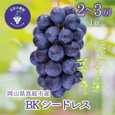 ふるさと納税 真庭市 [2026年先行受付]岡山 花笑み農園の『BKシードレス』1kg(2〜3房)