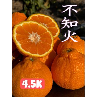 ふるさと納税 八幡浜市 太陽と海の不知火4.5kg[家庭用][C73-4]
