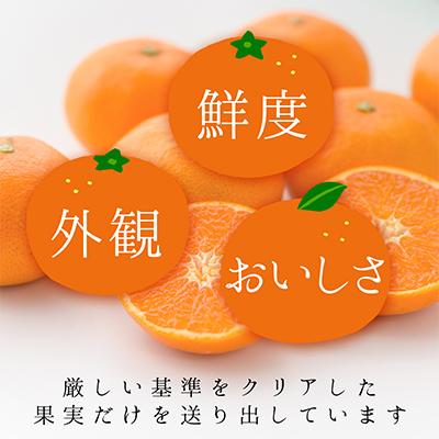 ふるさと納税 八幡浜市 コウ果樹園の華みかん5kg【A33-38】 |  | 01