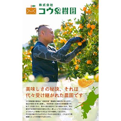 ふるさと納税 八幡浜市 コウ果樹園の華みかん5kg【A33-38】 |  | 03