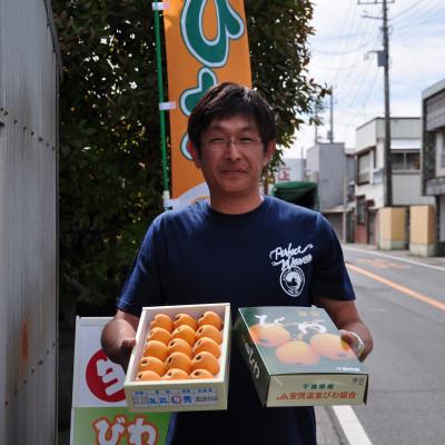 ふるさと納税 館山市 [先行受付]5月下旬より順次発送 露地栽培「房州びわ」 Lサイズ15粒 化粧箱入り