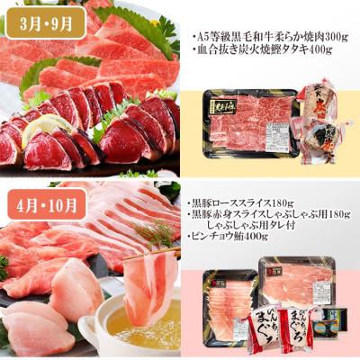 ふるさと納税 枕崎市 定期便6回配送 【当店限定】ごちそうまんきつセット FF-6004 |  | 02