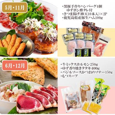 ふるさと納税 枕崎市 定期便6回配送 【当店限定】ごちそうまんきつセット FF-6004 |  | 03