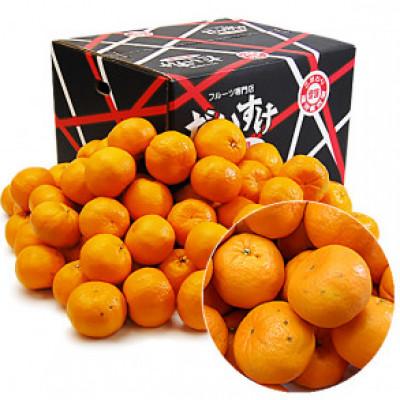 ふるさと納税 八幡浜市 愛媛県産ポンカン10kg[訳あり][D35-14]