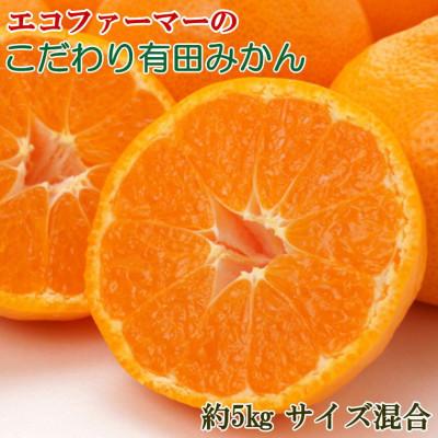 ふるさと納税 新宮市 エコファーマーのこだわり有田みかん約5kg(サイズ混合)2025年11月中旬より順次発送(新宮市)