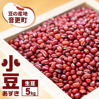 ふるさと納税 音更町 豆の産地 音更町 北海道十勝産小豆5kg あずき 令和7年産[A47]