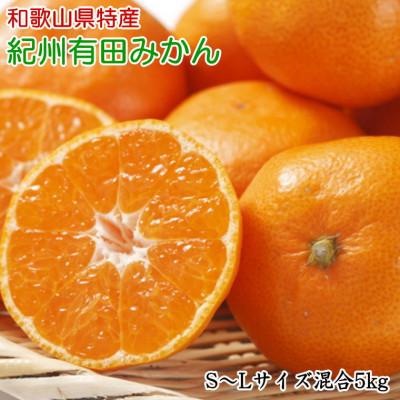 ふるさと納税 有田川町 [秀品]紀州有田みかん約5kg(S〜Lサイズ混合)「2025年11月中旬より順次発送」 (有田川町)