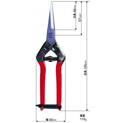 ふるさと納税 高石市 【ステンレス芽切・摘果鋏】◇近正のハサミ T-55SH_3