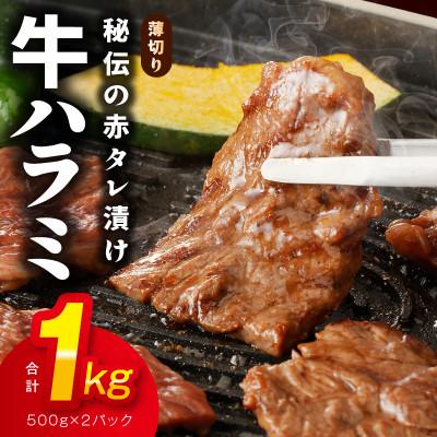 ふるさと納税 泉佐野市 牛ハラミ肉 1kg 薄切り スライス 小分け 500g×2 訳あり サイズ不揃い 010B1515