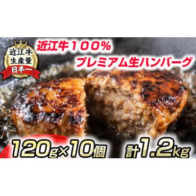 ふるさと納税 近江八幡市 [CP対象]近江牛100% プレミアム生ハンバーグ1.2kg(約120g×10個)個包装