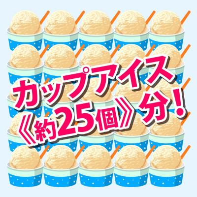 ふるさと納税 弟子屈町 くりーむ童話のアイスクリーム ピスタチオ 2L 北海道 弟子屈町 2351_2