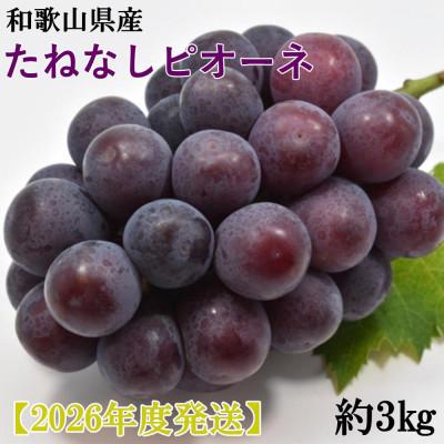 ふるさと納税 紀美野町 [新鮮・産直]和歌山県産たねなしピオーネ約3kg(4房〜7房)(紀美野町)[2026年度発送分]