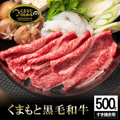 ふるさと納税 小国町 くまもと黒毛和牛 すき焼き用 500g(小国町)